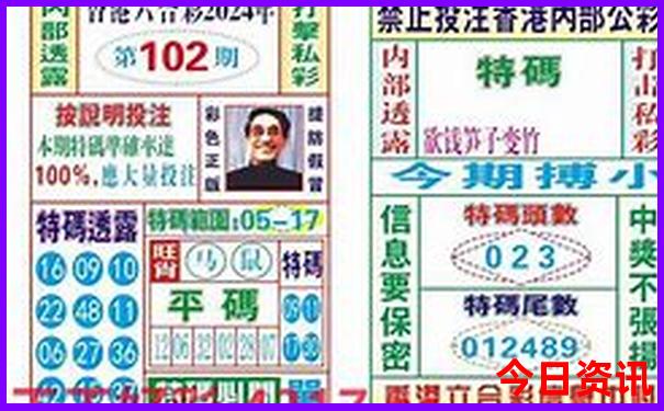 夏季适合去哪个城市玩